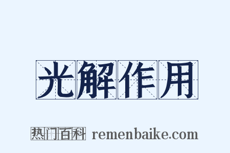 光解作用是什么意思的图片